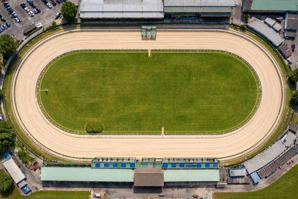 Monmore vs Other UK Greyhound Tracks: A Comparison Guide